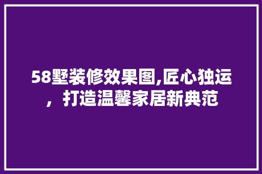 58墅装修效果图,匠心独运，打造温馨家居新典范
