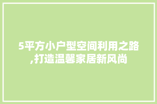 5平方小户型空间利用之路,打造温馨家居新风尚