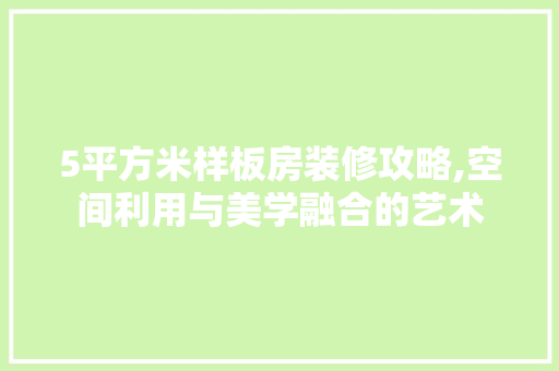 5平方米样板房装修攻略,空间利用与美学融合的艺术