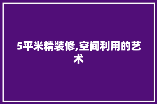 5平米精装修,空间利用的艺术
