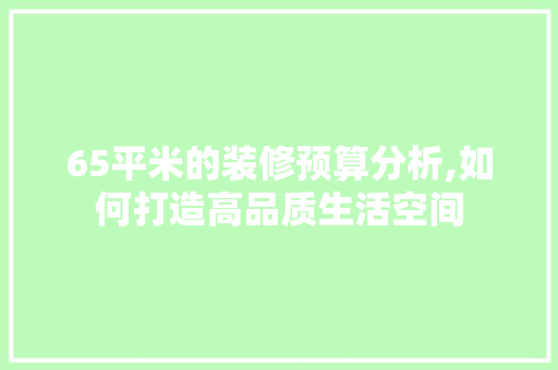 65平米的装修预算分析,如何打造高品质生活空间