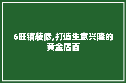 6旺铺装修,打造生意兴隆的黄金店面