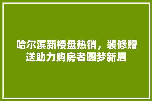 哈尔滨新楼盘热销，装修赠送助力购房者圆梦新居