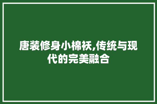 唐装修身小棉袄,传统与现代的完美融合