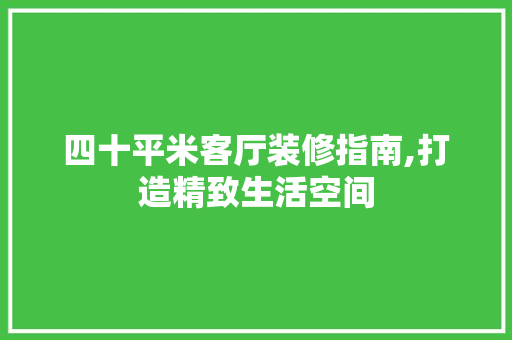 四十平米客厅装修指南,打造精致生活空间
