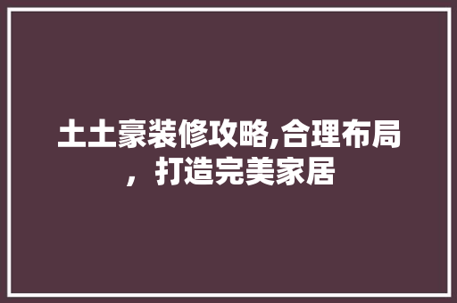 土土豪装修攻略,合理布局，打造完美家居