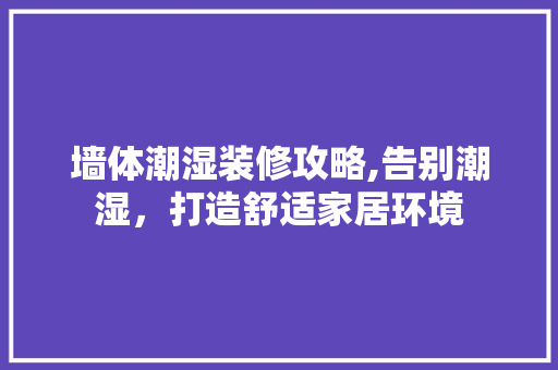 墙体潮湿装修攻略,告别潮湿，打造舒适家居环境