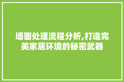 墙面处理流程分析,打造完美家居环境的秘密武器