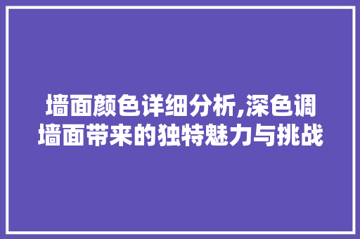 墙面颜色详细分析,深色调墙面带来的独特魅力与挑战
