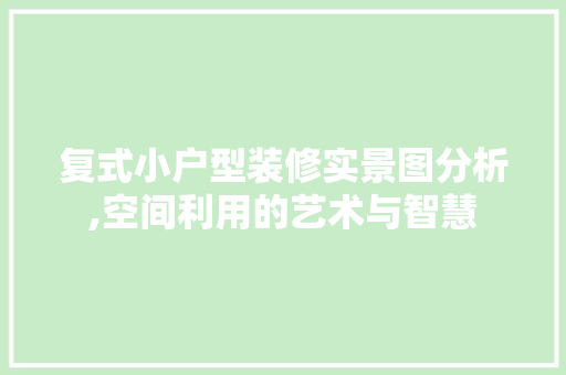 复式小户型装修实景图分析,空间利用的艺术与智慧