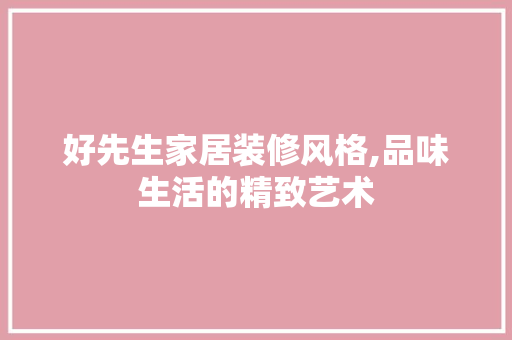 好先生家居装修风格,品味生活的精致艺术
