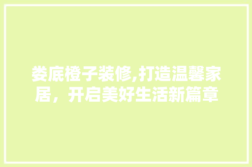 娄底橙子装修,打造温馨家居，开启美好生活新篇章