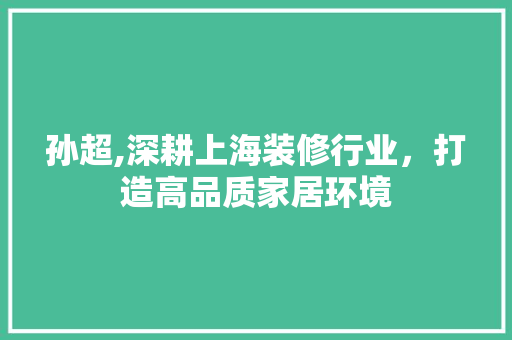 孙超,深耕上海装修行业，打造高品质家居环境