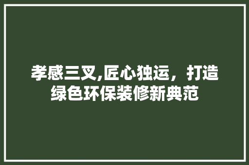 孝感三叉,匠心独运，打造绿色环保装修新典范