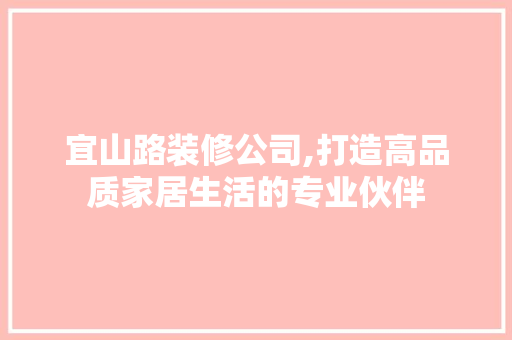 宜山路装修公司,打造高品质家居生活的专业伙伴