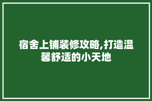 宿舍上铺装修攻略,打造温馨舒适的小天地