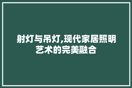 射灯与吊灯,现代家居照明艺术的完美融合
