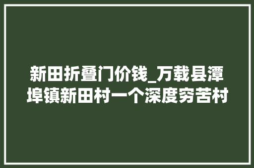 新田折叠门价钱_万载县潭埠镇新田村一个深度穷苦村的大年夜变身