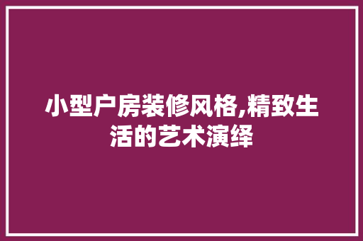 小型户房装修风格,精致生活的艺术演绎