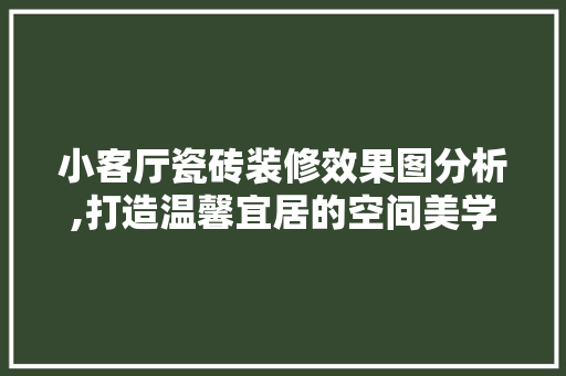 小客厅瓷砖装修效果图分析,打造温馨宜居的空间美学