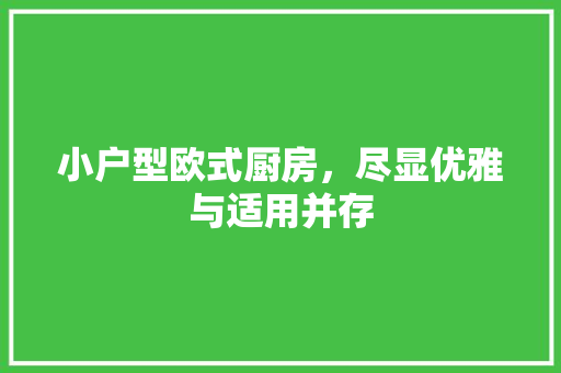小户型欧式厨房，尽显优雅与适用并存