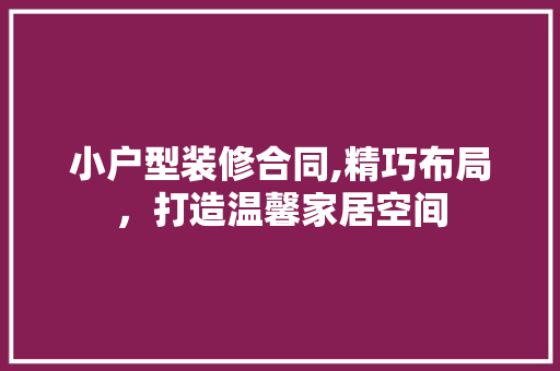 小户型装修合同,精巧布局，打造温馨家居空间