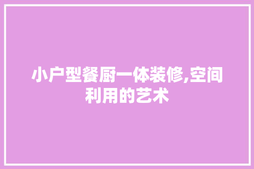 小户型餐厨一体装修,空间利用的艺术