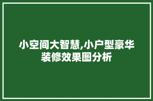小空间大智慧,小户型豪华装修效果图分析