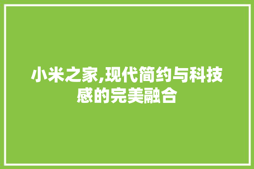 小米之家,现代简约与科技感的完美融合