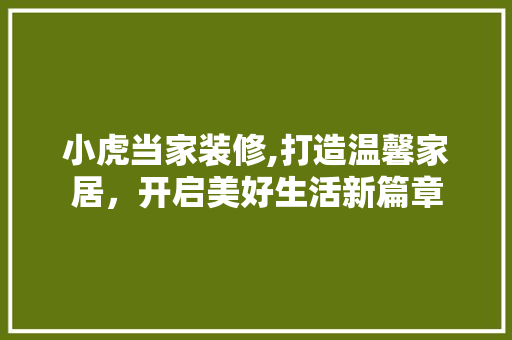 小虎当家装修,打造温馨家居，开启美好生活新篇章