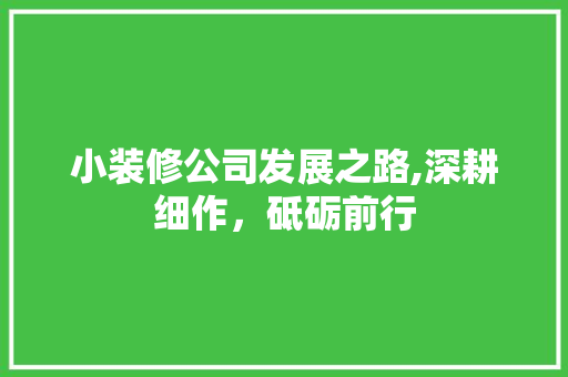 小装修公司发展之路,深耕细作，砥砺前行
