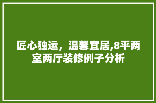 匠心独运，温馨宜居,8平两室两厅装修例子分析