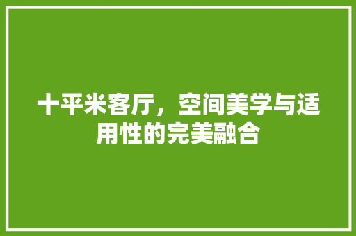 十平米客厅，空间美学与适用性的完美融合