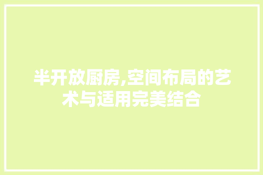 半开放厨房,空间布局的艺术与适用完美结合