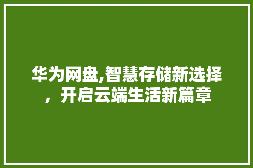 华为网盘,智慧存储新选择，开启云端生活新篇章
