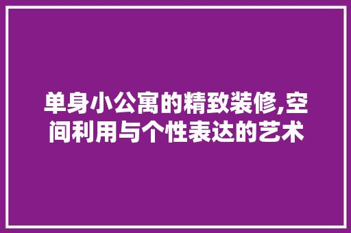单身小公寓的精致装修,空间利用与个性表达的艺术