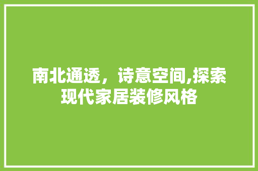 南北通透，诗意空间,探索现代家居装修风格