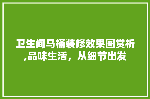 卫生间马桶装修效果图赏析,品味生活，从细节出发