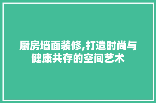 厨房墙面装修,打造时尚与健康共存的空间艺术