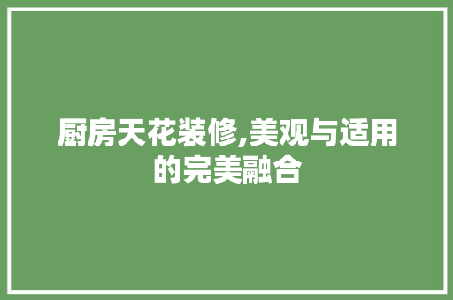 厨房天花装修,美观与适用的完美融合