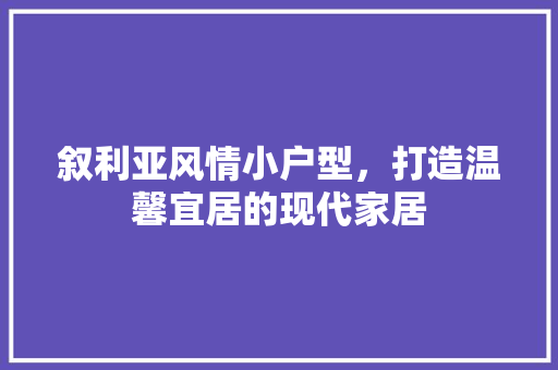 叙利亚风情小户型，打造温馨宜居的现代家居