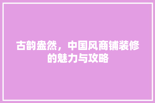 古韵盎然，中国风商铺装修的魅力与攻略