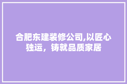 合肥东建装修公司,以匠心独运，铸就品质家居