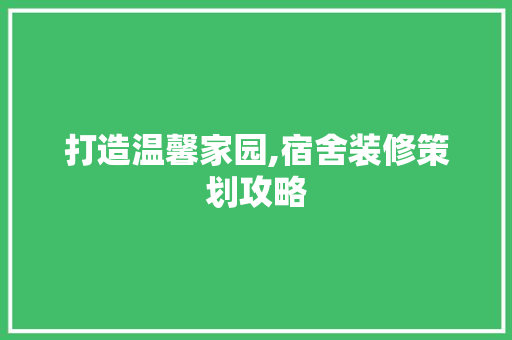 打造温馨家园,宿舍装修策划攻略