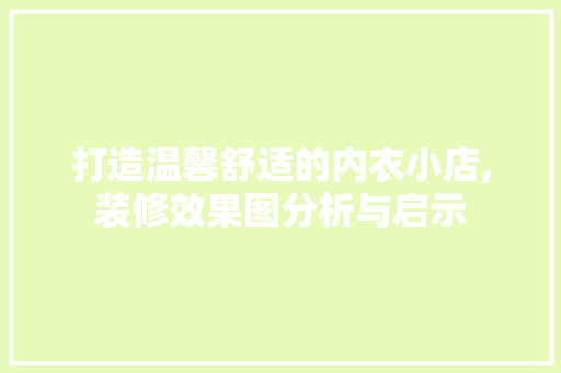 打造温馨舒适的内衣小店,装修效果图分析与启示