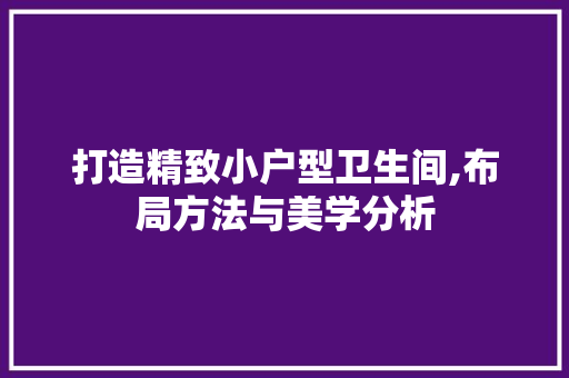打造精致小户型卫生间,布局方法与美学分析