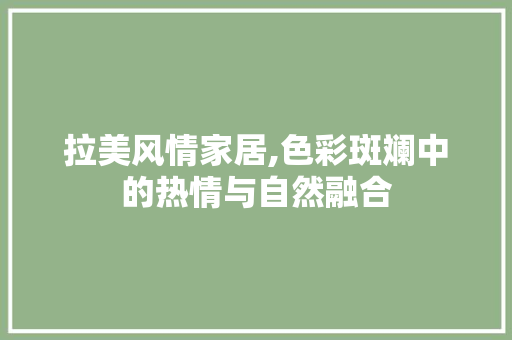 拉美风情家居,色彩斑斓中的热情与自然融合