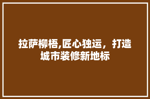 拉萨柳梧,匠心独运，打造城市装修新地标