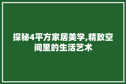 探秘4平方家居美学,精致空间里的生活艺术