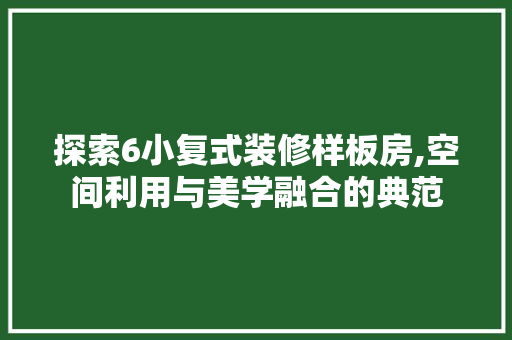 探索6小复式装修样板房,空间利用与美学融合的典范